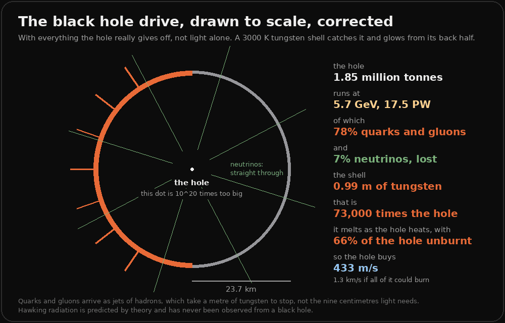 A to-scale drawing of the corrected black hole drive: a circle 23.7 kilometres in radius for the tungsten shell, its left half glowing orange, green lines for neutrinos passing straight through it in every direction, and a white dot at the centre for the hole, labelled as drawn 10 to the 20 times too big. Beside it: the hole, 1.85 million tonnes; runs at 5.7 GeV and 17.5 petawatts; 78 percent quarks and gluons; 7 percent neutrinos, lost; the shell, 0.99 metres of tungsten, 73,000 times the hole; it melts as the hole heats with 66 percent of the hole unburnt; so the hole buys 433 metres per second, against 1.3 kilometres per second if all of it could burn.