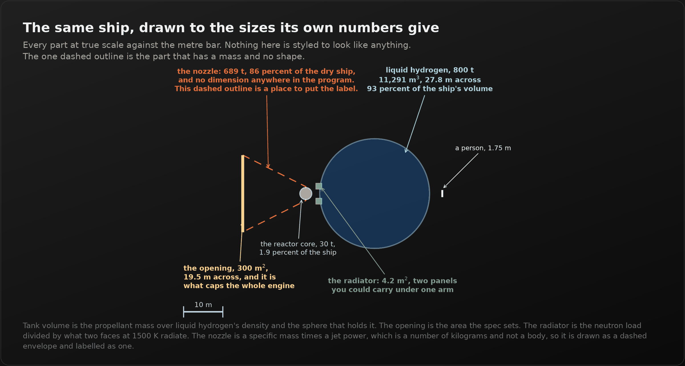 A dark panel titled "The same ship, drawn to the sizes its own numbers give". A side elevation at true scale against a ten metre bar. A large blue sphere 27.8 metres across is the hydrogen tank, labelled 800 tonnes, 11,291 cubic metres, 93 percent of the ship's volume. A small grey circle 3.1 metres across is the reactor core, 30 tonnes, 1.9 percent of the ship. Two tiny green squares are the radiator, 4.2 square metres, two panels you could carry under one arm. A pale vertical line 19.5 metres tall is the opening, 300 square metres. Between the opening and the core is a dashed orange outline with no fill, labelled: the nozzle, 689 tonnes, 86 percent of the dry ship, and no dimension anywhere in the program. A person 1.75 metres tall stands beside the tank for scale.