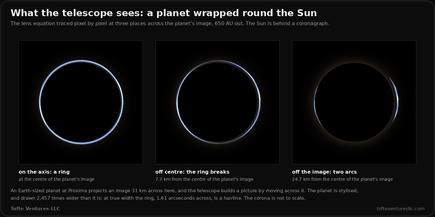 Three renders of what a telescope 650 AU out sees, traced pixel by pixel from the lens equation. On the axis, at the centre of the planet's image, the planet's light forms a complete bright ring round the dark disc hiding the Sun. 7.7 kilometres from the centre, the ring is uneven and starts to break. 24.7 kilometres from the centre, off the image, it has broken into two arcs on opposite sides. A note says an Earth-sized planet at Proxima projects an image 31 kilometres across here, that the planet is stylised and drawn 2,457 times wider than it is because at true width the ring is a hairline, and that the corona is not to scale.
