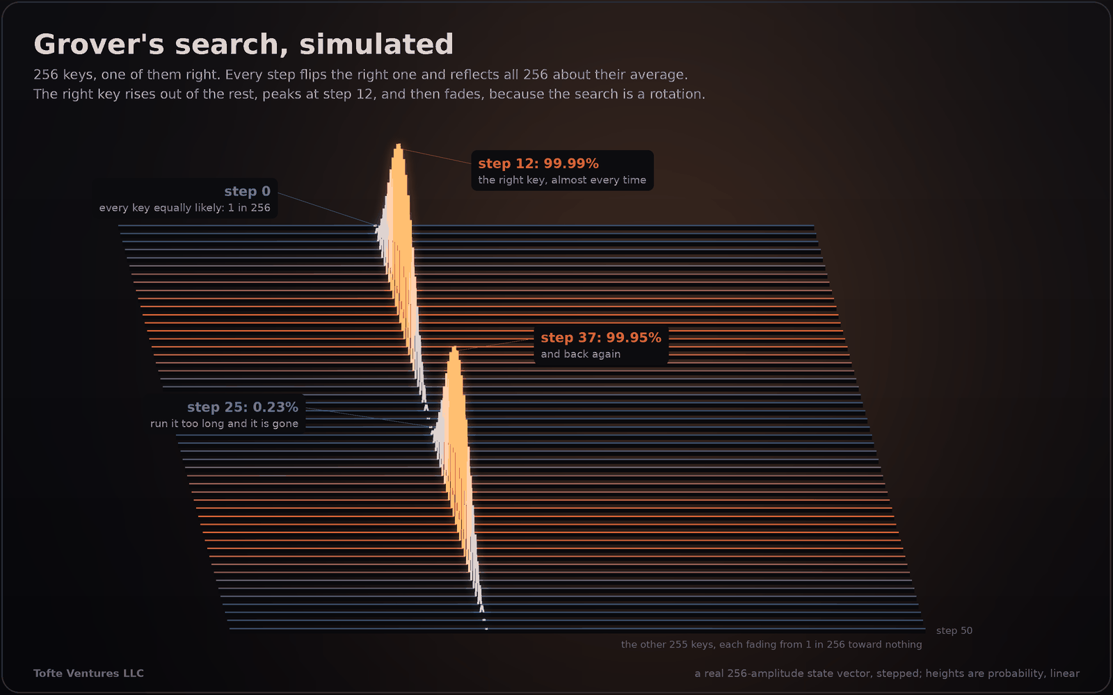 A figure titled Grover's search, simulated. Fifty-one stacked rows, one per step from step 0 at the back to step 50 at the front, each a line across 256 keys. One key's needle rises out of the flat rows, peaking at step 12 at 99.99 percent, labelled the right key almost every time; it falls to 0.23 percent at step 25, labelled run it too long and it is gone, and rises again to 99.95 percent at step 37, labelled and back again. The other 255 keys fade from 1 in 256 toward nothing as the right one rises. Heights are probability, on a linear scale, from a real 256-amplitude state vector.