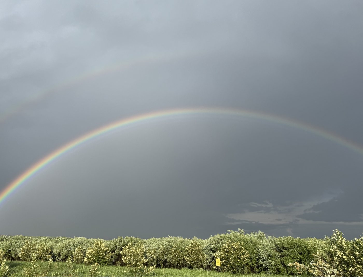 A double rainbow over a field of shrubs under dark grey cloud. The sky inside the lower, brighter bow is noticeably lighter; the strip between the two bows is the darkest part of the sky; a faint second bow runs above.