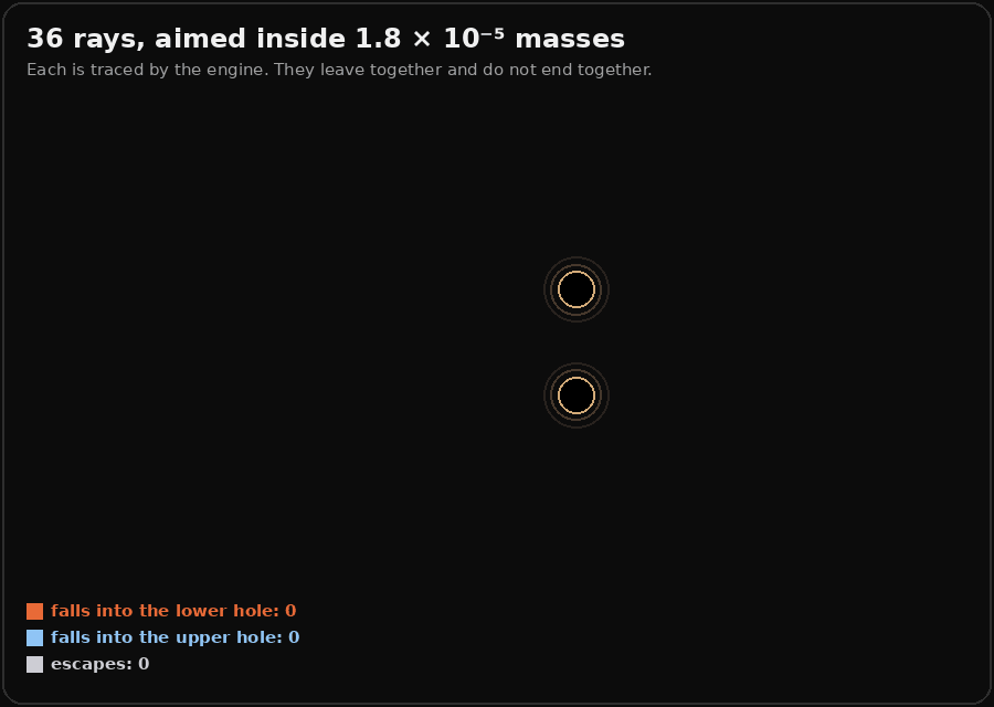 An animation of 36 light rays arriving together from the left as a single grey line, all aimed within 1.8 times ten to the minus 5 masses of each other. Near the holes they spread into a sheaf of loops. As the tracing proceeds, 4 end in the lower hole in orange, 13 in the upper hole in blue, and 19 escape as pale grey curves that fan out to the right and back to the left. A counter at the bottom keeps the tally.
