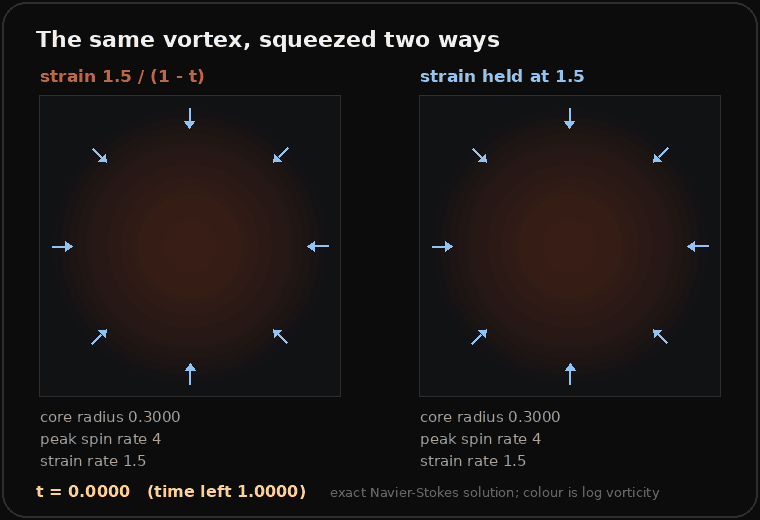 Two square panels side by side, each showing a vortex from above as a glowing disc with arrows pushing inward. On the left the strain grows without limit and the core shrinks to a bright point, radius 0.0063 and spin rate 7,917 at time 0.9995. On the right the strain is held at 1.5 and the core shrinks only a little, to a dim disc of radius about 0.2, on its way to a fixed size.